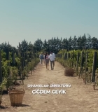 Filename=HEG000018.jpg
Filesize=319KiB
Dimensions=1920x1080
Date added=28.09.25 HEG000018.jpg