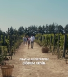 Filename=HEG000019.jpg
Filesize=327KiB
Dimensions=1920x1080
Date added=28.09.25 HEG000019.jpg