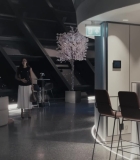 Filename=HEG001266.jpg
Filesize=156KiB
Dimensions=1920x1080
Date added=28.09.25 HEG001266.jpg