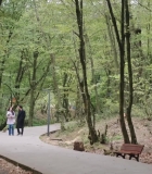 Filename=HEG001078.jpg
Filesize=501KiB
Dimensions=1920x1080
Date added=28.09.25 HEG001078.jpg