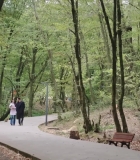 Filename=HEG001079.jpg
Filesize=494KiB
Dimensions=1920x1080
Date added=28.09.25 HEG001079.jpg