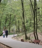 Filename=HEG001081.jpg
Filesize=479KiB
Dimensions=1920x1080
Date added=28.09.25 HEG001081.jpg