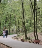 Filename=HEG001082.jpg
Filesize=480KiB
Dimensions=1920x1080
Date added=28.09.25 HEG001082.jpg