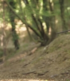 Filename=HEG001556.jpg
Filesize=160KiB
Dimensions=1920x1080
Date added=28.09.25 HEG001556.jpg