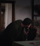 Filename=HEG000678.jpg
Filesize=96KiB
Dimensions=1920x1080
Date added=17.10.25 HEG000678.jpg