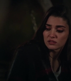 Filename=HEG000941.jpg
Filesize=60KiB
Dimensions=1920x1080
Date added=17.10.25 HEG000941.jpg