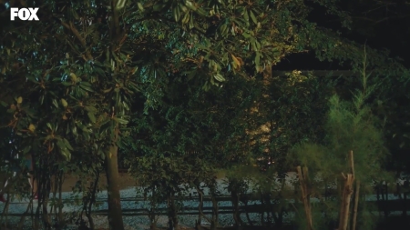 HEG000000631.jpg