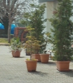 Filename=HEG000000556.jpg
Filesize=250KiB
Dimensions=1920x1080
Date added=27.03.21 HEG000000556.jpg