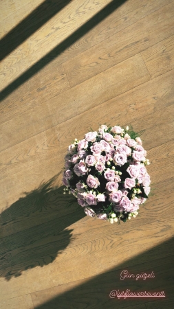 HEG000012.jpg