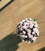 HEG000012.jpg