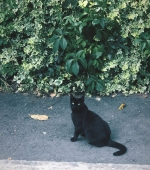 HEG000054.jpg