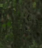 HEG000000260.jpg