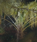 HEG000000816.jpg