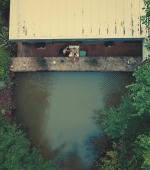 HEG000000905.jpg