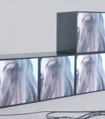 HEG000000236.jpg