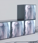 HEG000000238.jpg