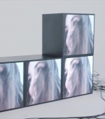 HEG000000239.jpg