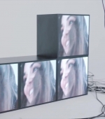 HEG000000240.jpg