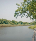 videoplayback_28129_0043.jpg