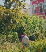 HEG000000658.jpg