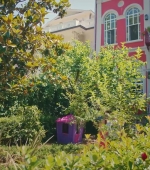 HEG000000661.jpg