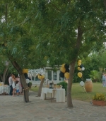 HEG000000937.jpg