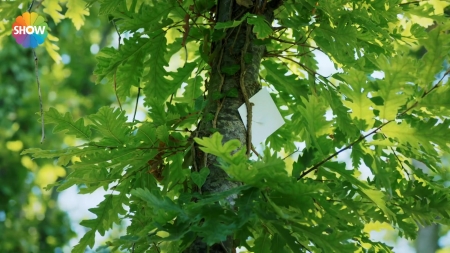 HEG000000995.jpg