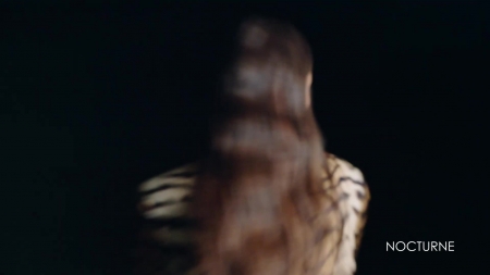 HEG000000407.jpg