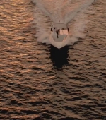 HEG000001387.jpg