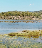HEG000140.jpg