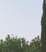 HEG000145.jpg