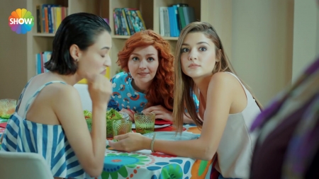 Ask_Laftan_Anlamaz_2_Bolum____0814.jpg