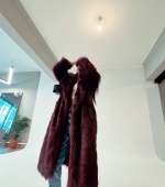IMG_7654.jpeg