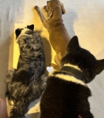 IMG_9709.jpeg