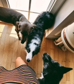IMG_6300.jpeg
