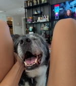 IMG_6379.jpeg