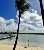 IMG_7382.jpeg