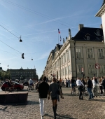 IMG_8363.jpeg