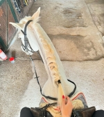 IMG_9531.jpeg