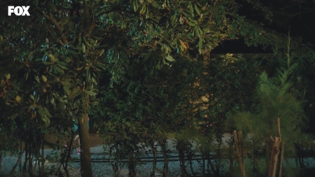 HEG000000632.jpg